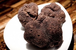 Black truffle Mushroom