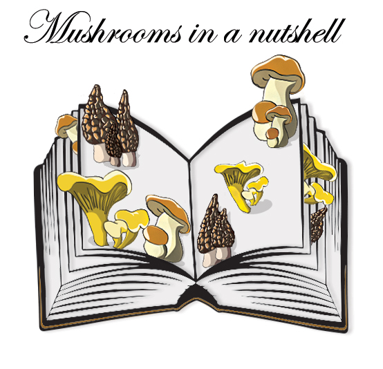 Mushroom book English