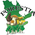 forestia_logo_trees